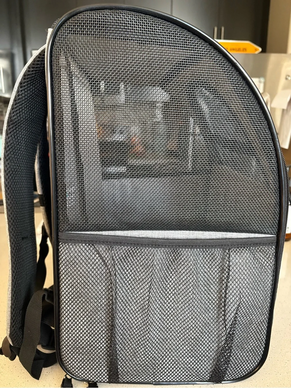 Gray Soft-Sided Dog Carrier Backpack with Mesh Ventilation